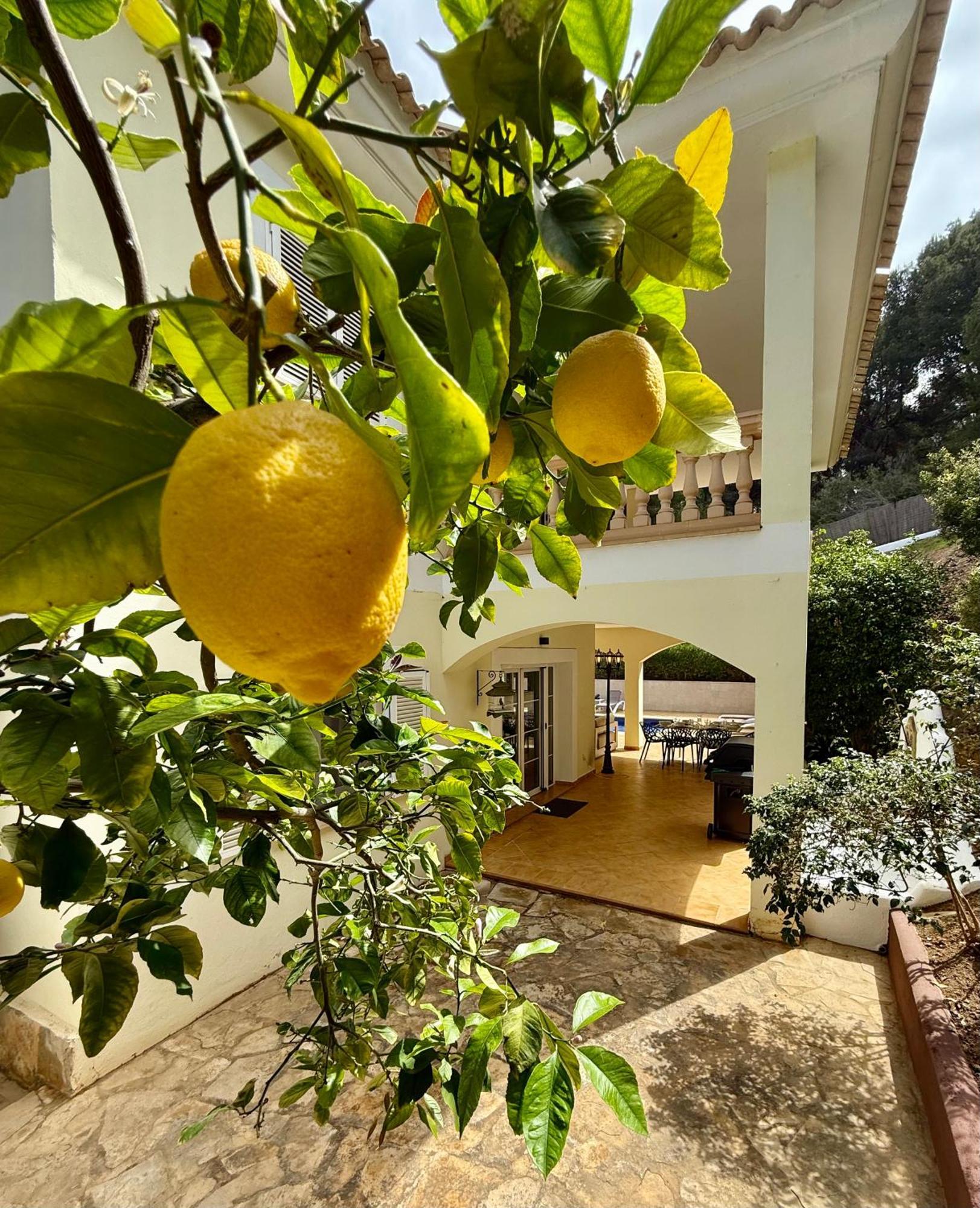 Poolvilla Patricia - Camp De Mar Andraitx Bagian luar foto